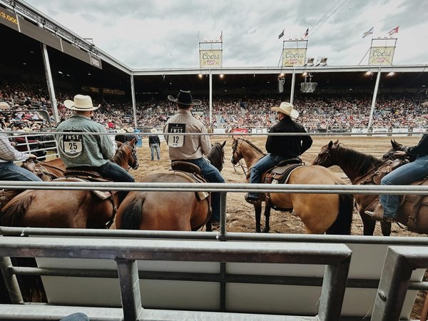 Unlocking Performance: Exploring the Biomechanical Advantages of Various Paddles in Competitive Canoeing