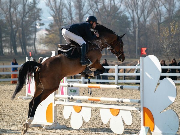 Essential strategies to maximize sport bike tire lifespan in the uk